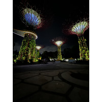 Picture Singapore Garden by the bay 2023-01 27 - Waterfalls Garden by the bay