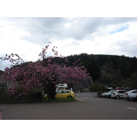 Picture United Kingdom Tintern 2006-05 2 - Room Tintern