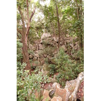 Picture Seychelles La Digue 2011-10 111 - Room La Digue