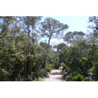 Picture France Porquerolles Island Alycastre beach 2008-05 0 - Monument Alycastre beach