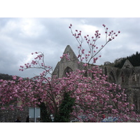 Picture United Kingdom Tintern 2006-05 25 - Price Tintern