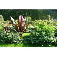 Picture France Paris Jardin des Plantes 2007-08 64 - Restaurant Jardin des Plantes