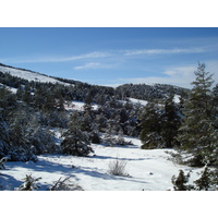 Picture France Greolieres les neiges 2007-01 30 - Spring Greolieres les neiges