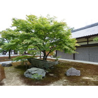 Picture Japan Kyoto Kinkakuji Temple(Golden Pavilion) 2010-06 7 - Cost Kinkakuji Temple(Golden Pavilion)