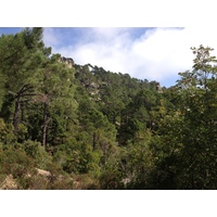 Picture France Corsica L'ospedale Forest 2012-09 15 - Street L'ospedale Forest