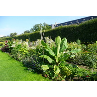 Picture France Paris Jardin des Plantes 2007-08 229 - Rentals Jardin des Plantes