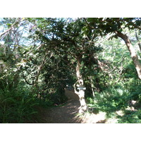 Picture Fiji Sigatoka sand dunes national park 2010-05 17 - Shopping Sigatoka sand dunes national park