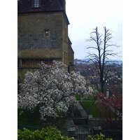 Picture Swiss Neuchatel 1999-04 1 - Restaurants Neuchatel