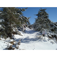 Picture France Greolieres les neiges 2007-01 33 - Night Greolieres les neiges