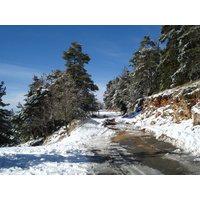 Picture France Greolieres les neiges 2007-01 37 - Street Greolieres les neiges