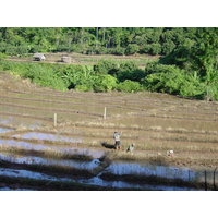 Picture Thailand Mae Hong Son 2003-07 37 - Transport Mae Hong Son