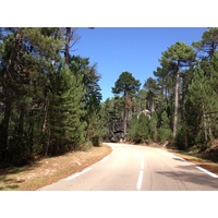 Picture France Corsica L'ospedale Forest 2012-09 23 - Rain Season L'ospedale Forest