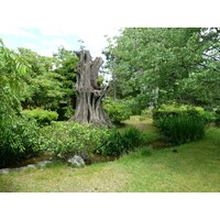 Picture Japan Kyoto Shosei en Garden 2010-06 1 - Waterfalls Shosei en Garden