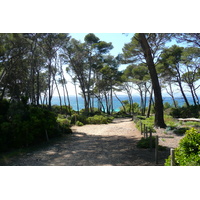 Picture France Porquerolles Island Pointe du Lequin 2008-05 67 - Room Pointe du Lequin