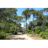 Picture France Porquerolles Island Plaine de la courtade 2008-05 38 - City View Plaine de la courtade