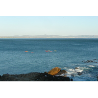 Picture South Africa Harmanus 2008-09 152 - Land Harmanus