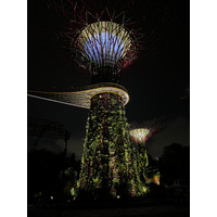 Picture Singapore Garden by the bay 2023-01 39 - Hot Season Garden by the bay