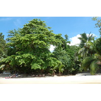 Picture Seychelles Mahe 2011-10 70 - Savings Mahe