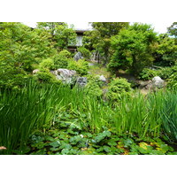 Picture Japan Kyoto Shosei en Garden 2010-06 81 - Hot Season Shosei en Garden