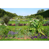 Picture France Paris Jardin des Plantes 2007-08 227 - Street Jardin des Plantes