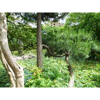 Picture Japan Kyoto Shosei en Garden 2010-06 45 - Room Shosei en Garden