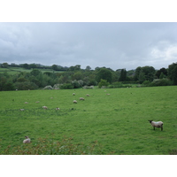 Picture United Kingdom Brecon Beacons National Parc 2006-05 113 - Saving Brecon Beacons National Parc