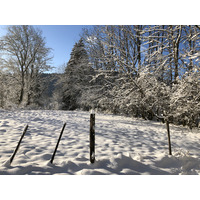 Picture Swiss Crans Montana 2020-12 488 - Monument Crans Montana