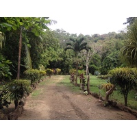 Picture Costa Rica Montezuma 2015-03 232 - Hotel Pool Montezuma