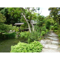 Picture Japan Kyoto Shosei en Garden 2010-06 37 - Hot Season Shosei en Garden