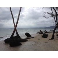 Picture Costa Rica Cahuita 2015-03 7 - French Restaurant Cahuita