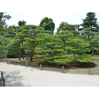 Picture Japan Kyoto Nijo Castle Honmaru Palace 2010-06 16 - Weather Honmaru Palace