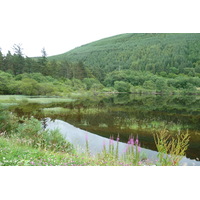 Picture United Kingdom Scotland Loch Laggan to Loch Ness road 2011-07 12 - Savings Loch Laggan to Loch Ness road