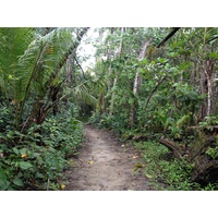 Picture Costa Rica Cahuita 2015-03 28 - Land Cahuita