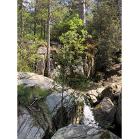 Picture France Corsica Aitone Forest 2021-06 34 - To see Aitone Forest