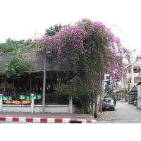 Picture Thailand Chiang Mai Inside Canal Arrak Road(Canal) 2006-04 15 - Waterfall Arrak Road(Canal)