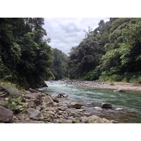 Picture Costa Rica Pacuare River 2015-03 242 - Restaurant Pacuare River