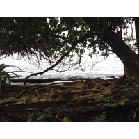 Picture Costa Rica Cahuita 2015-03 27 - Hotel Pools Cahuita