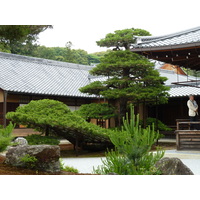 Picture Japan Kyoto Kinkakuji Temple(Golden Pavilion) 2010-06 20 - Accomodation Kinkakuji Temple(Golden Pavilion)