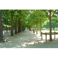 Picture France Paris Garden of Tuileries 2007-05 205 - Street Garden of Tuileries