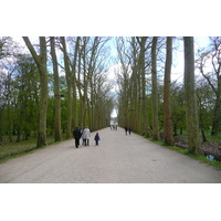 Picture France Chenonceau Castle Gardens of Chenonceau 2008-04 31 - Sauna Gardens of Chenonceau