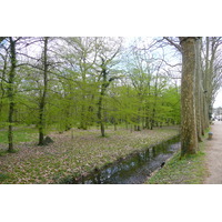 Picture France Chenonceau Castle Gardens of Chenonceau 2008-04 48 - Spring Gardens of Chenonceau