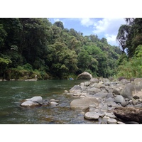 Picture Costa Rica Pacuare River 2015-03 41 - Rental Pacuare River