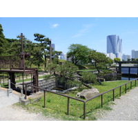 Picture Japan Tokyo Hama rikyu Gardens 2010-06 86 - Price Hama rikyu Gardens