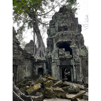 Picture Cambodia Siem Reap Ta Prohm 2023-01 94 - Resorts Ta Prohm