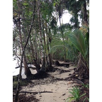 Picture Costa Rica Cahuita 2015-03 12 - Lakes Cahuita