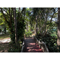 Picture Thailand Phuket Kata Beach Kata Garden Resort 2021-12 8 - Resorts Kata Garden Resort