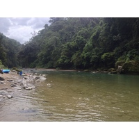 Picture Costa Rica Pacuare River 2015-03 95 - Land Pacuare River