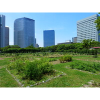 Picture Japan Tokyo Hama rikyu Gardens 2010-06 39 - Waterfall Hama rikyu Gardens