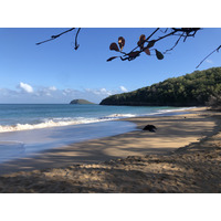 Picture Guadeloupe La Perle Beach 2021-02 48 - Lands La Perle Beach