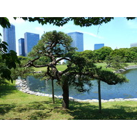 Picture Japan Tokyo Hama rikyu Gardens 2010-06 19 - Savings Hama rikyu Gardens